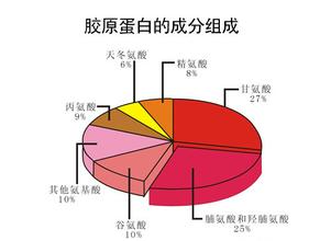 人體成分測量儀解讀膠原蛋白對人體的重要性