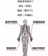 麻豆激情床戏视频檢測分析儀教你如何看懂麻豆激情床戏视频檢測報告單